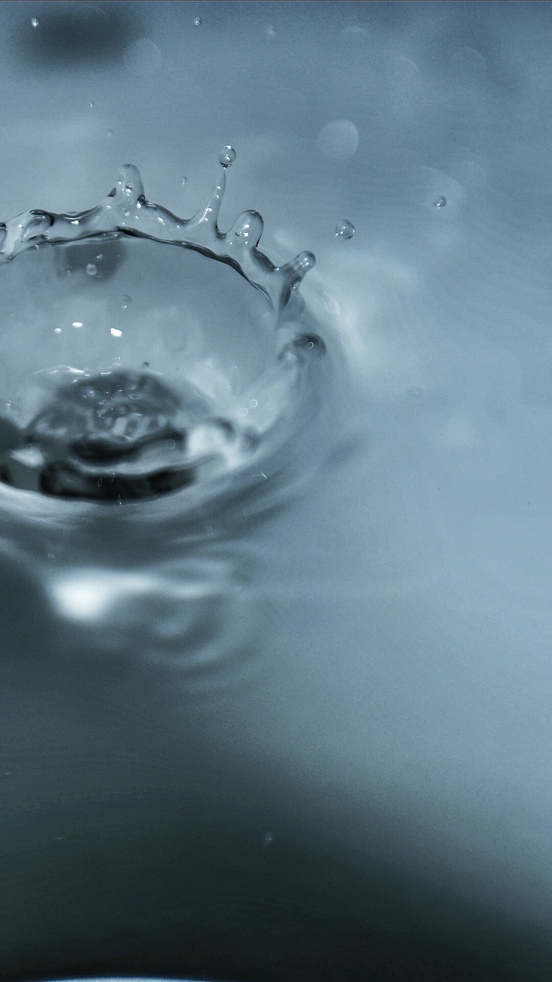 freezing, macro photography 1080x1920