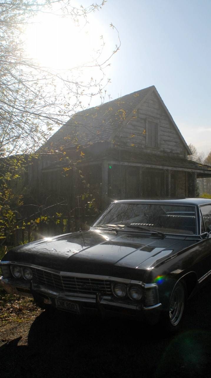 Impala wallpaper