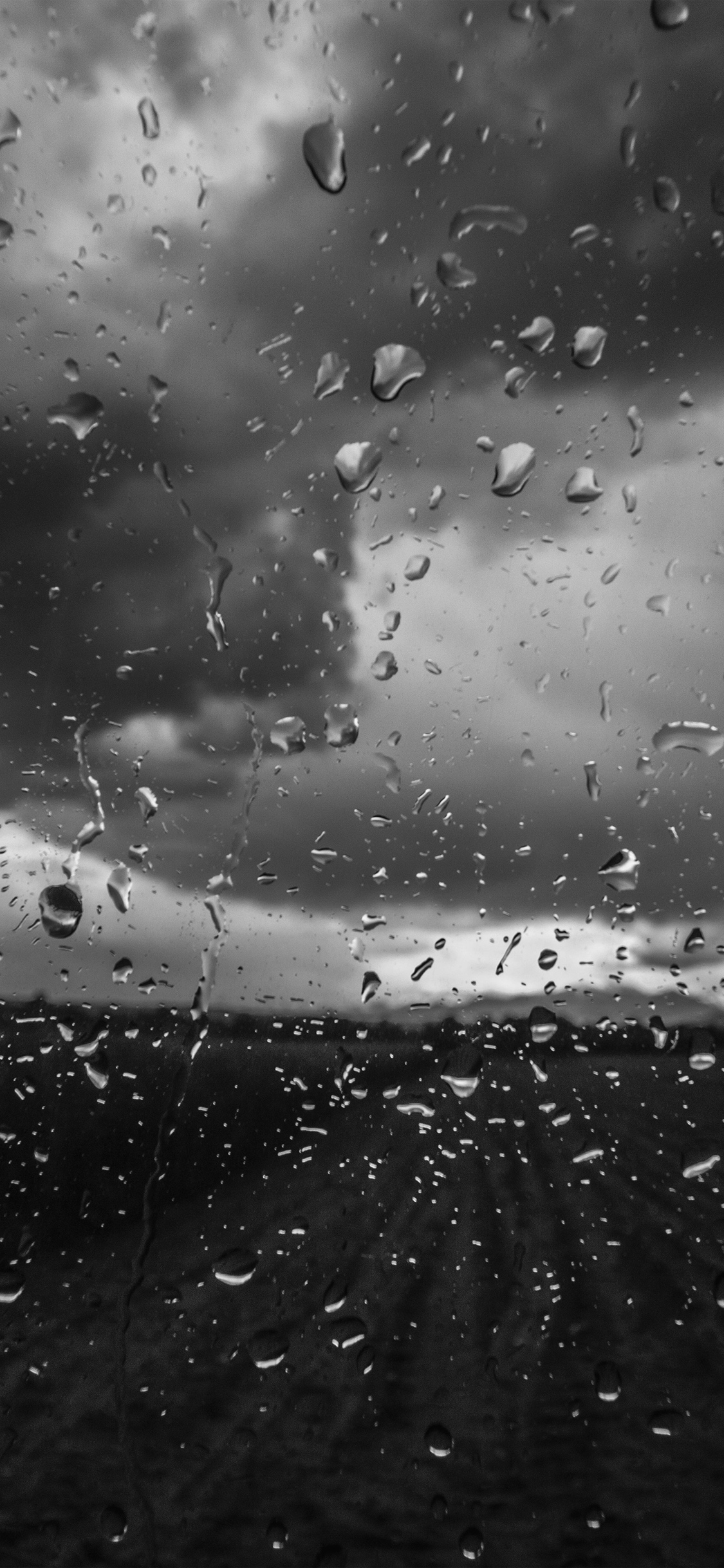 wallpaper. rainy window nature