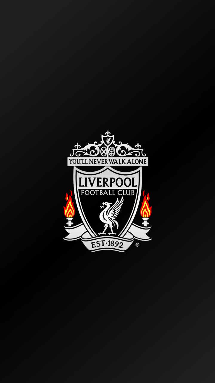 Download Liverpool F C wallpaper