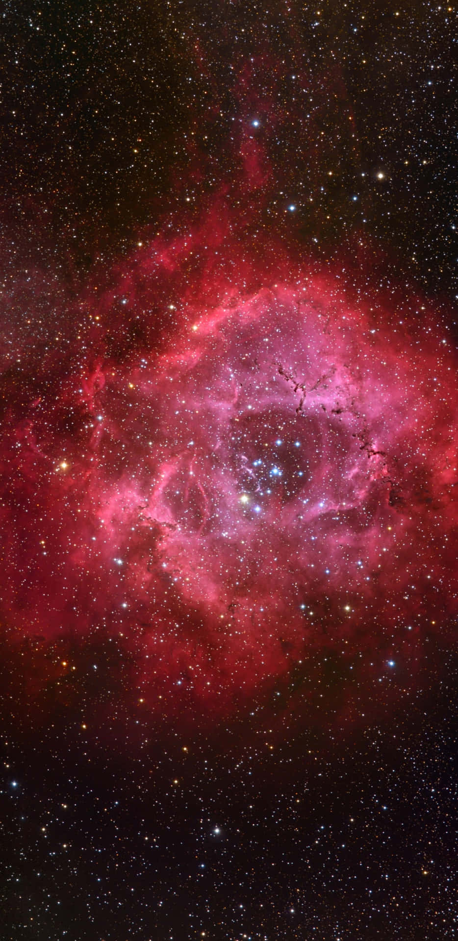 Download Red Galaxy: An Unending Sea