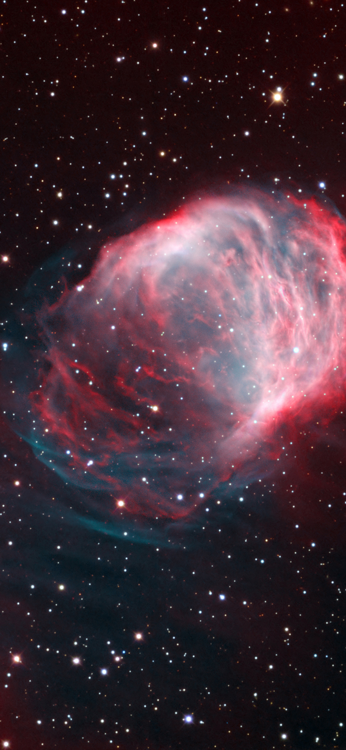 Space Medusa Crawford Galaxy Star