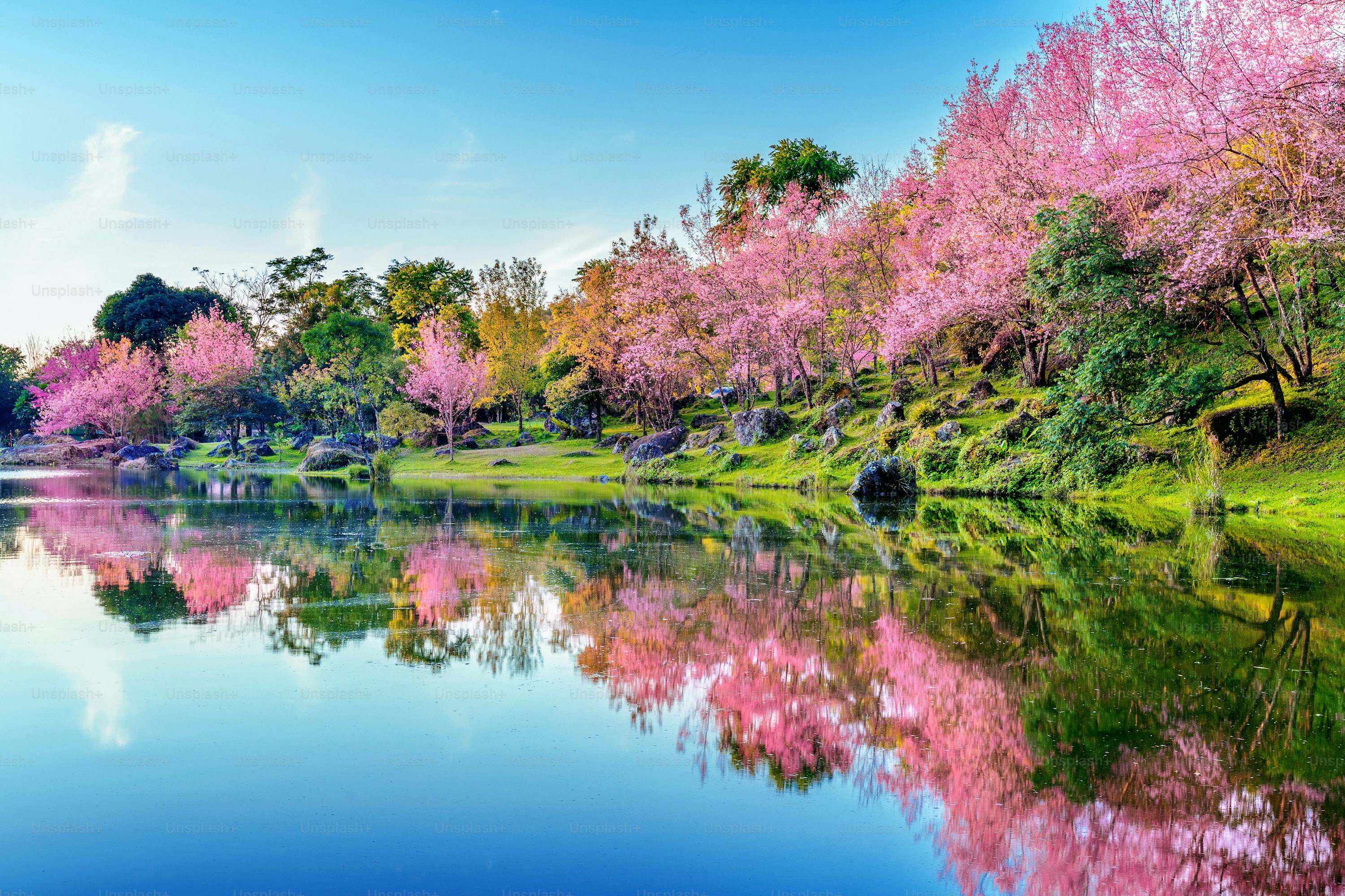 Korea Nature Picture. Download Free