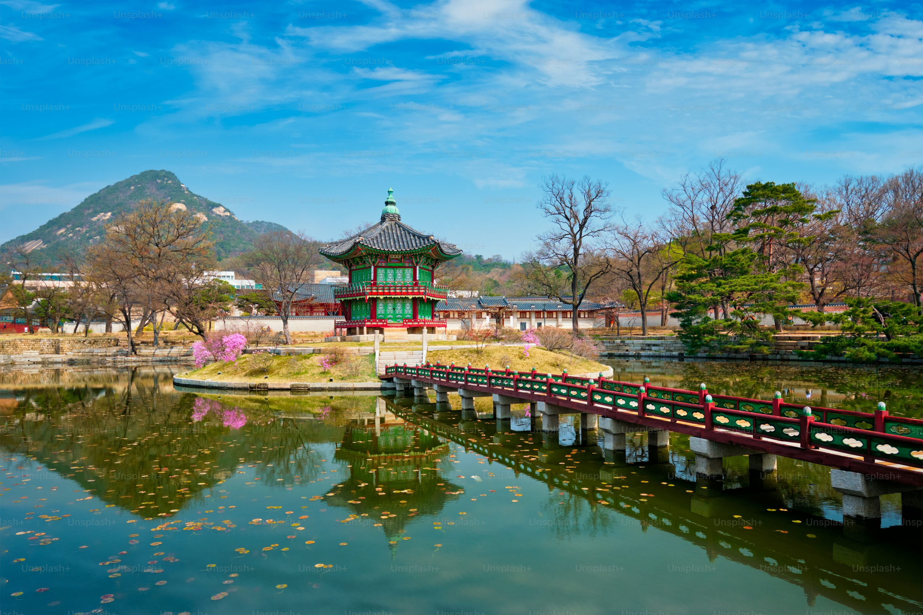 Korea Nature Picture. Download Free