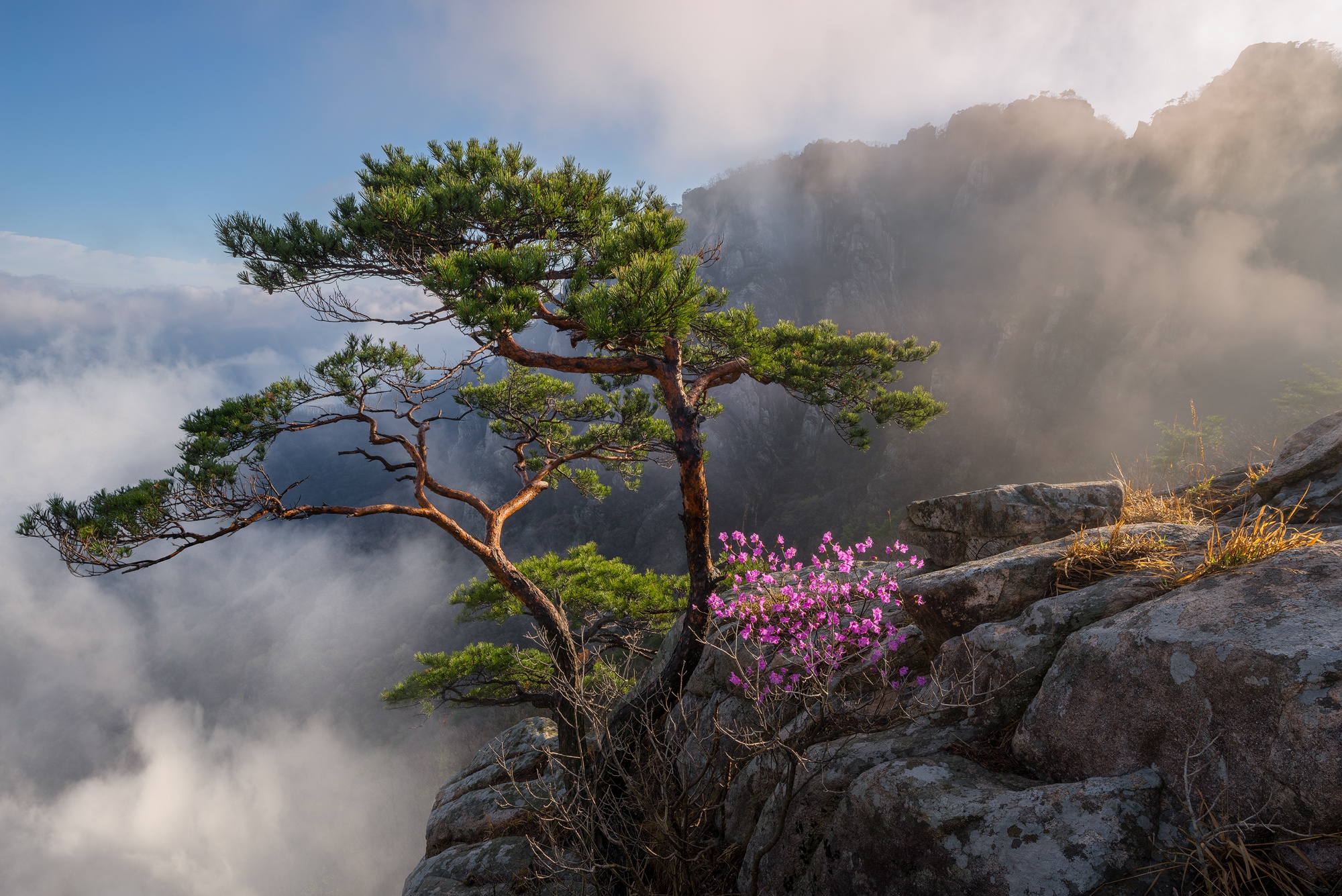 South Korea Mountain Landscape Cloud