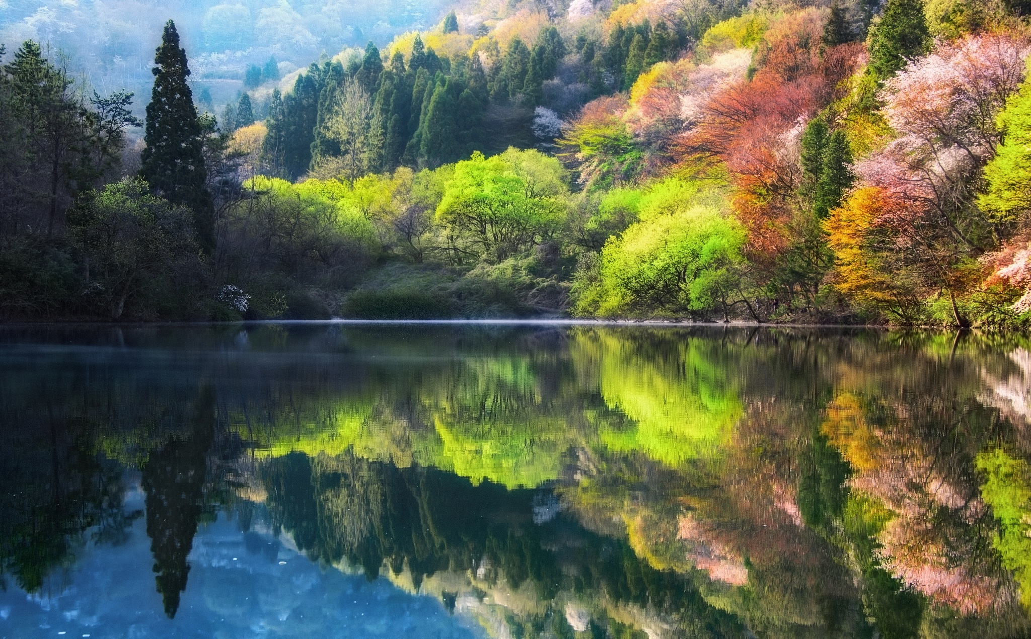Wallpaper trees, nature, lake, spring