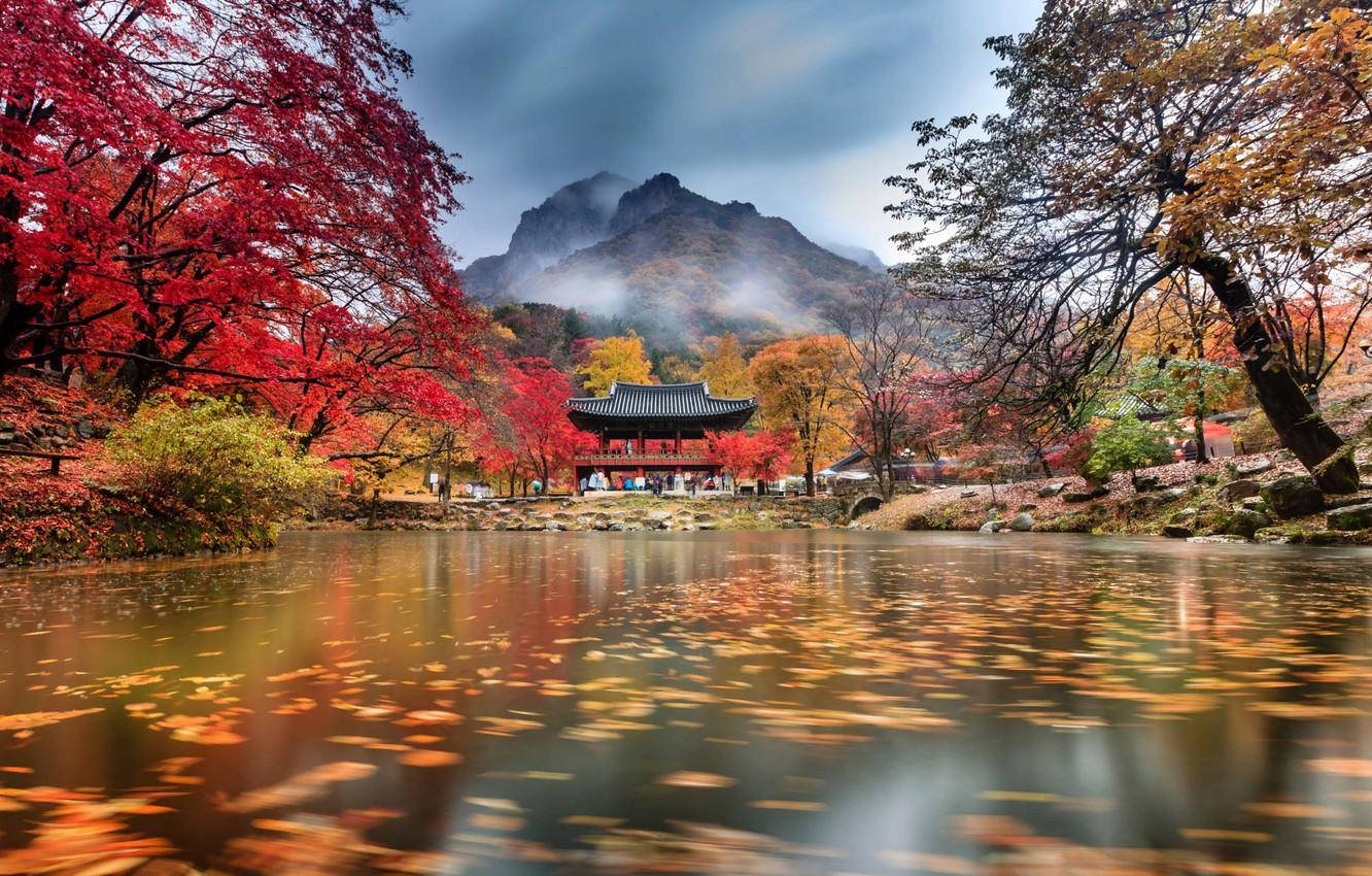 Download South Korea Lakeview