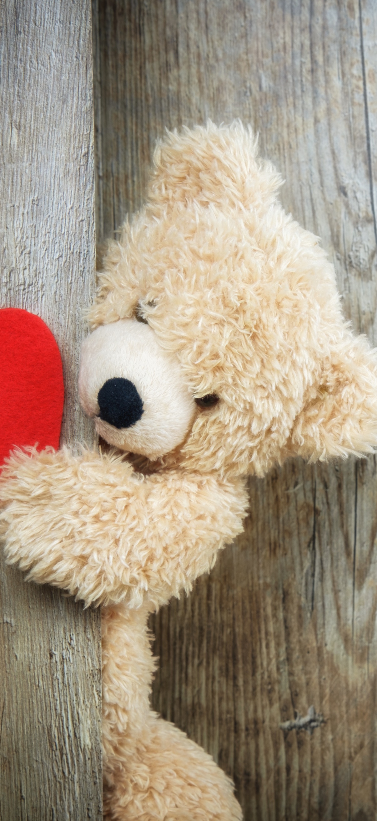 Wallpaper 4K, Teddy bear, Wooden background