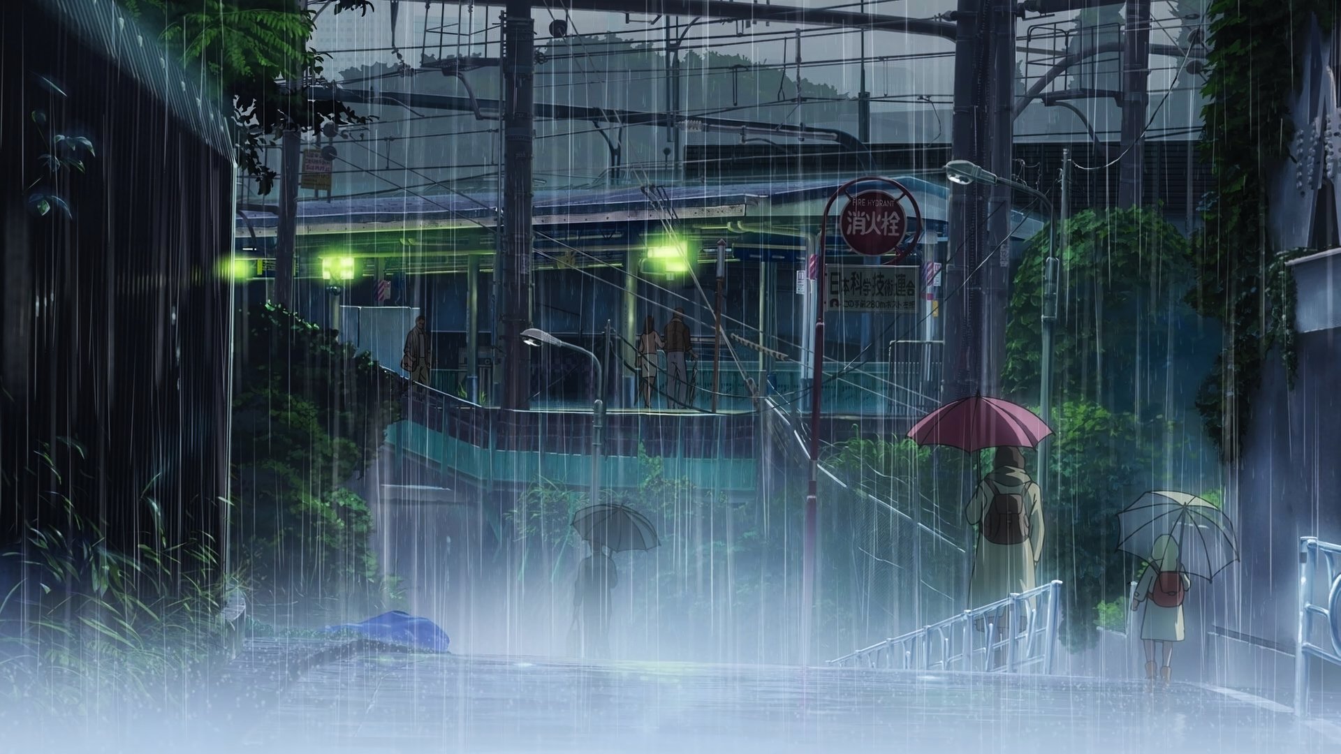 8k Ultra HD Wallpaper