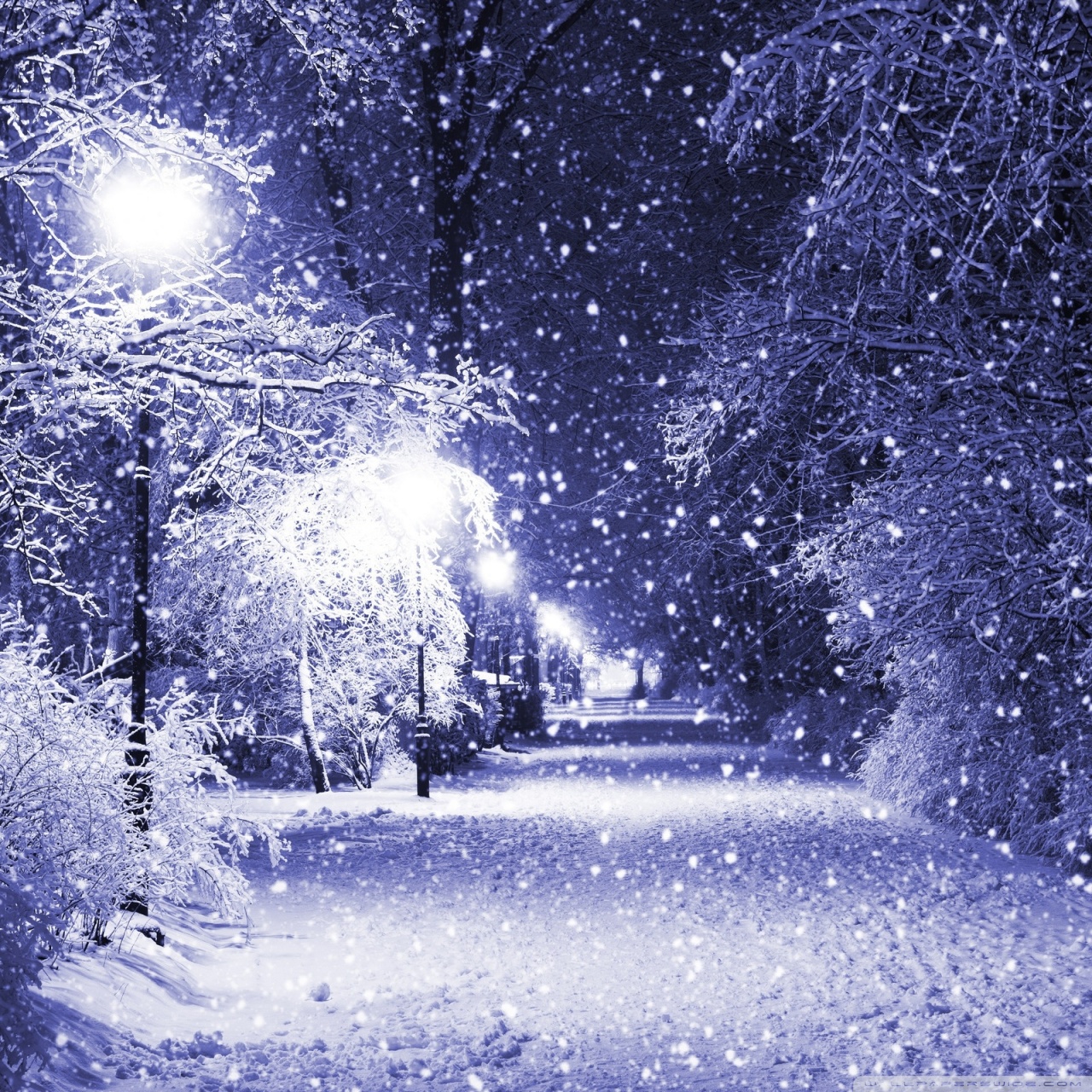 Winter Night Ultra HD Wallpaper for 4K