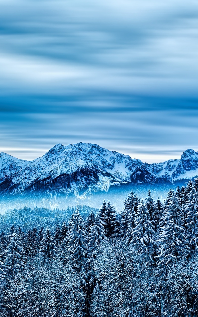 Snow Winter Nature Cloud