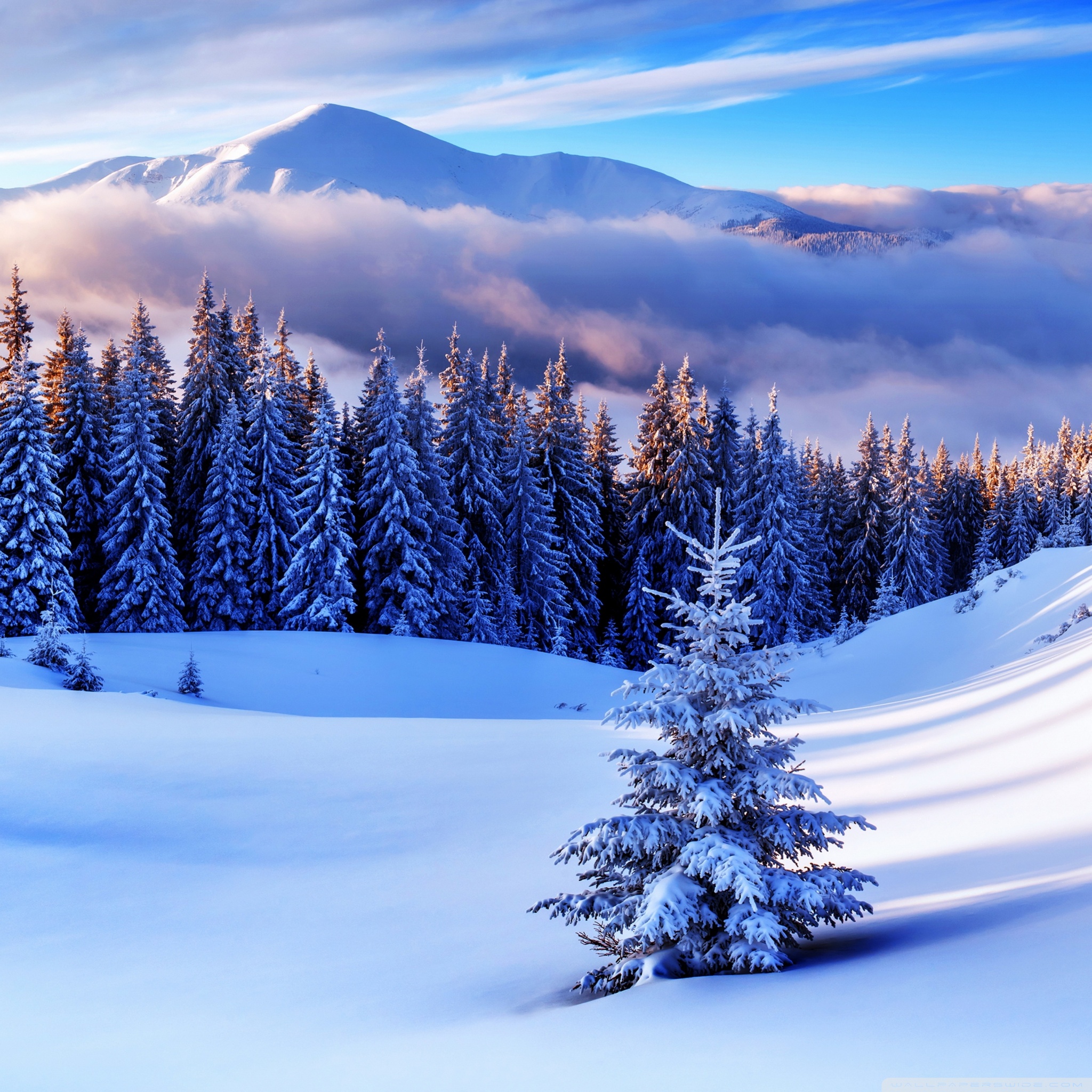 Mountains Ultra HD Wallpaper for 4K UHD