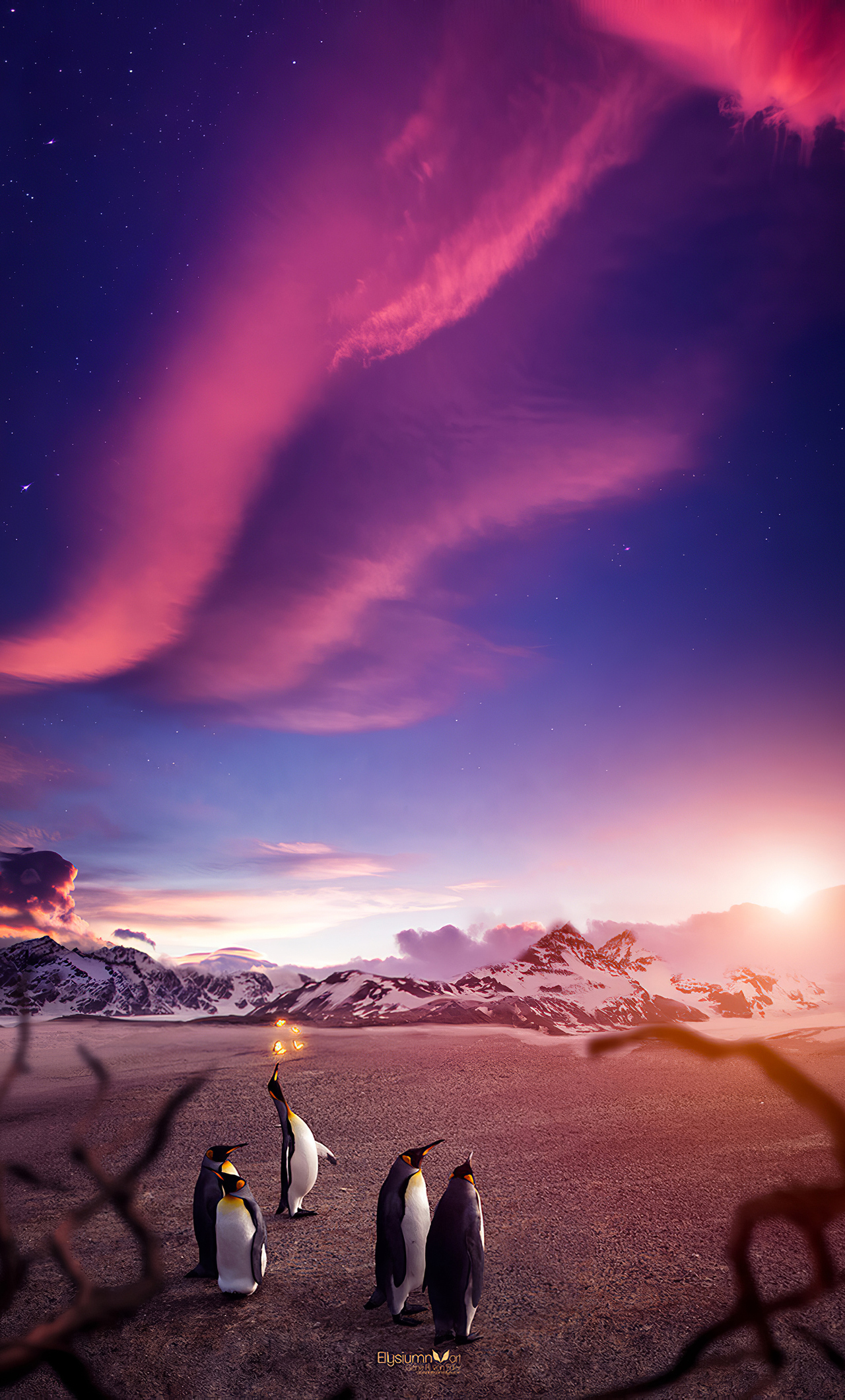 Penguins Butterfly 4k iPhone