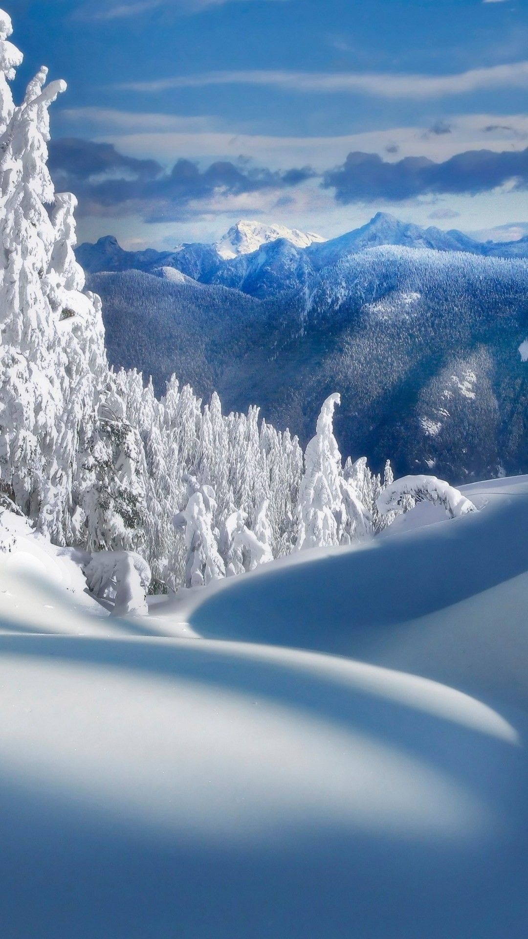 Snow Wallpaper