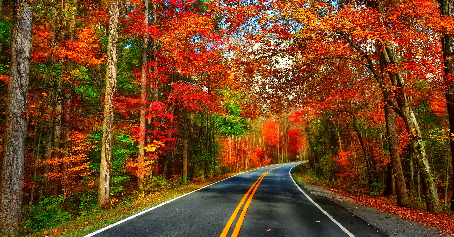 Autumn Serenity: A Man Made Road Through A Colorful Forest