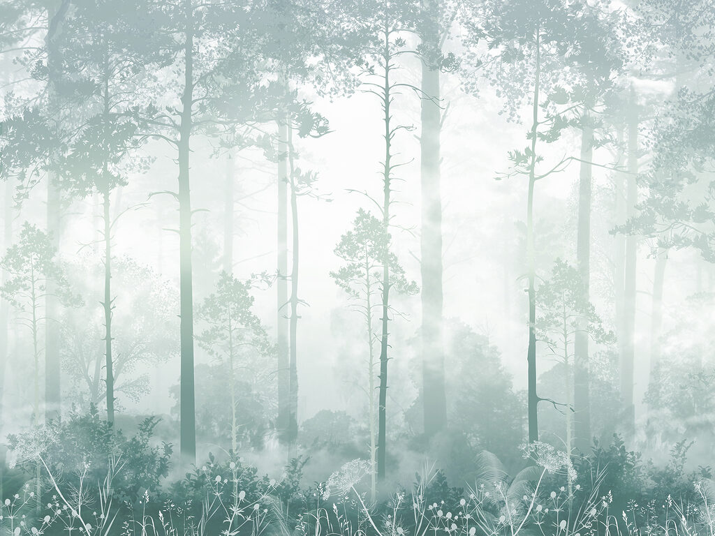 Foggy Forest Wallpaper, Foggy Forest