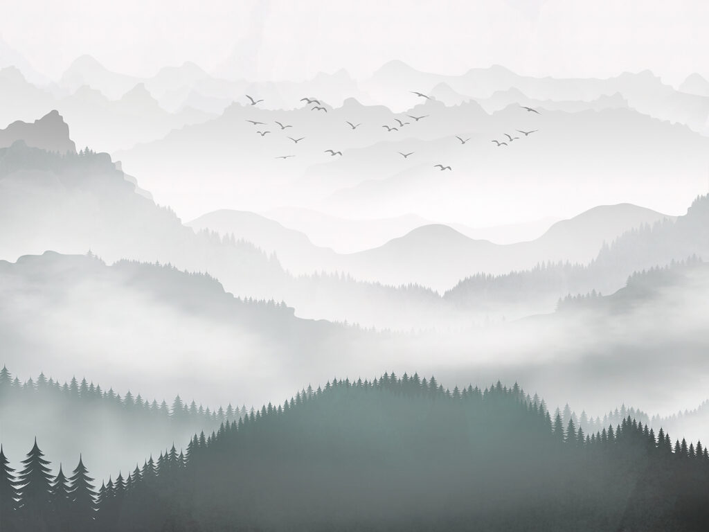 Foggy Forest Wallpaper, Foggy Forest