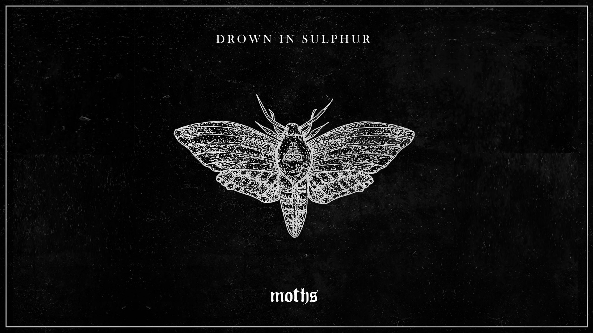 Drown In Sulphur Moths wallpaper edit