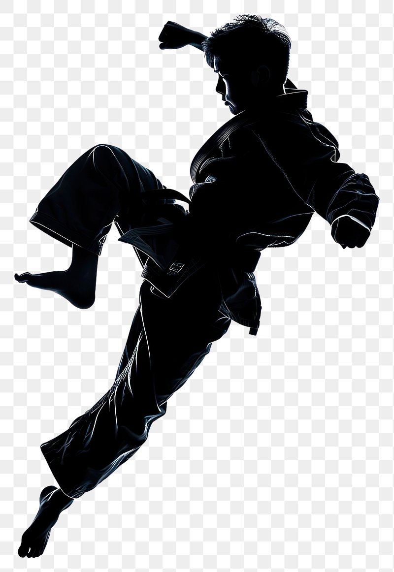 Martial Arts Image. Free Photo, PNG