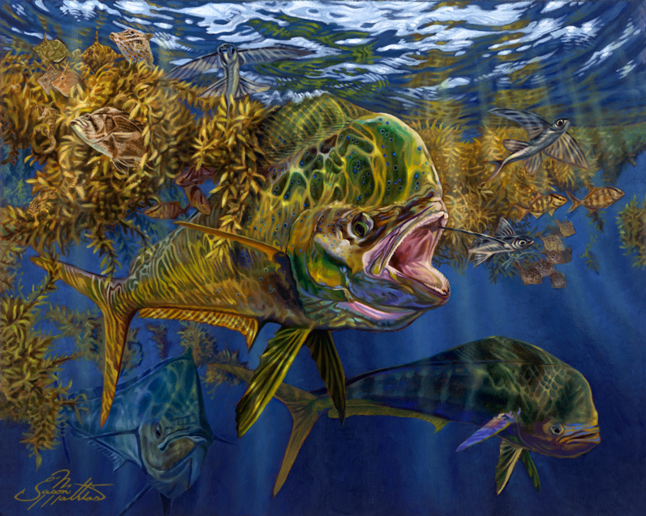 Mahi (Signed Poster) Mathias