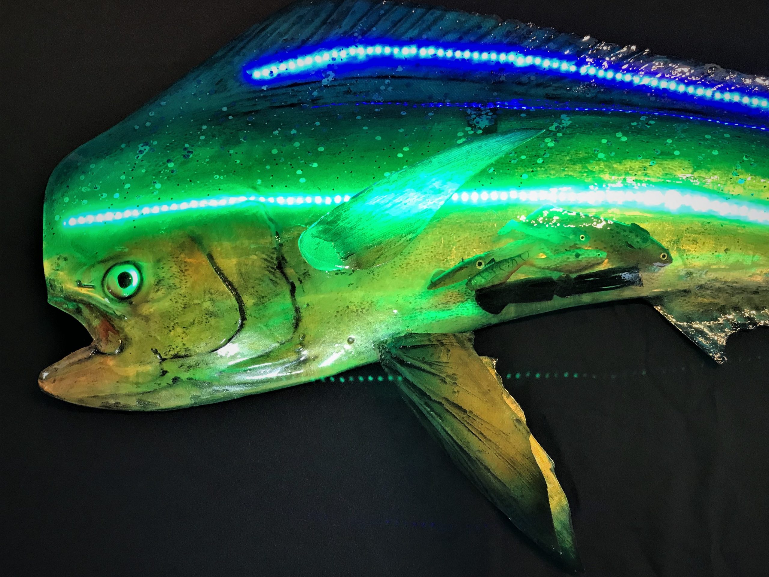 LED Mahi Mahi Light Up Multi Media Fish