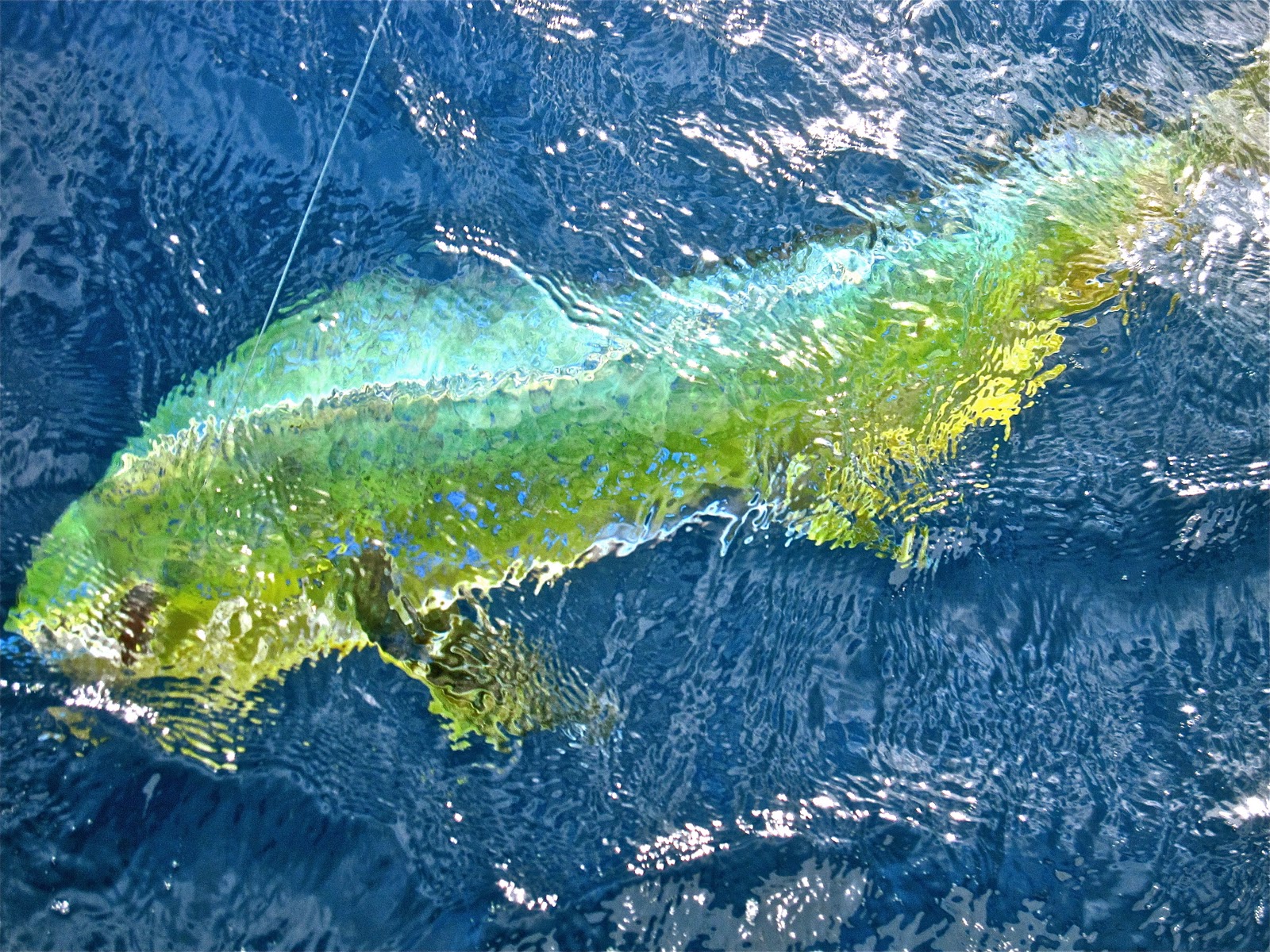 Windtraveler: Magic of the Dorado