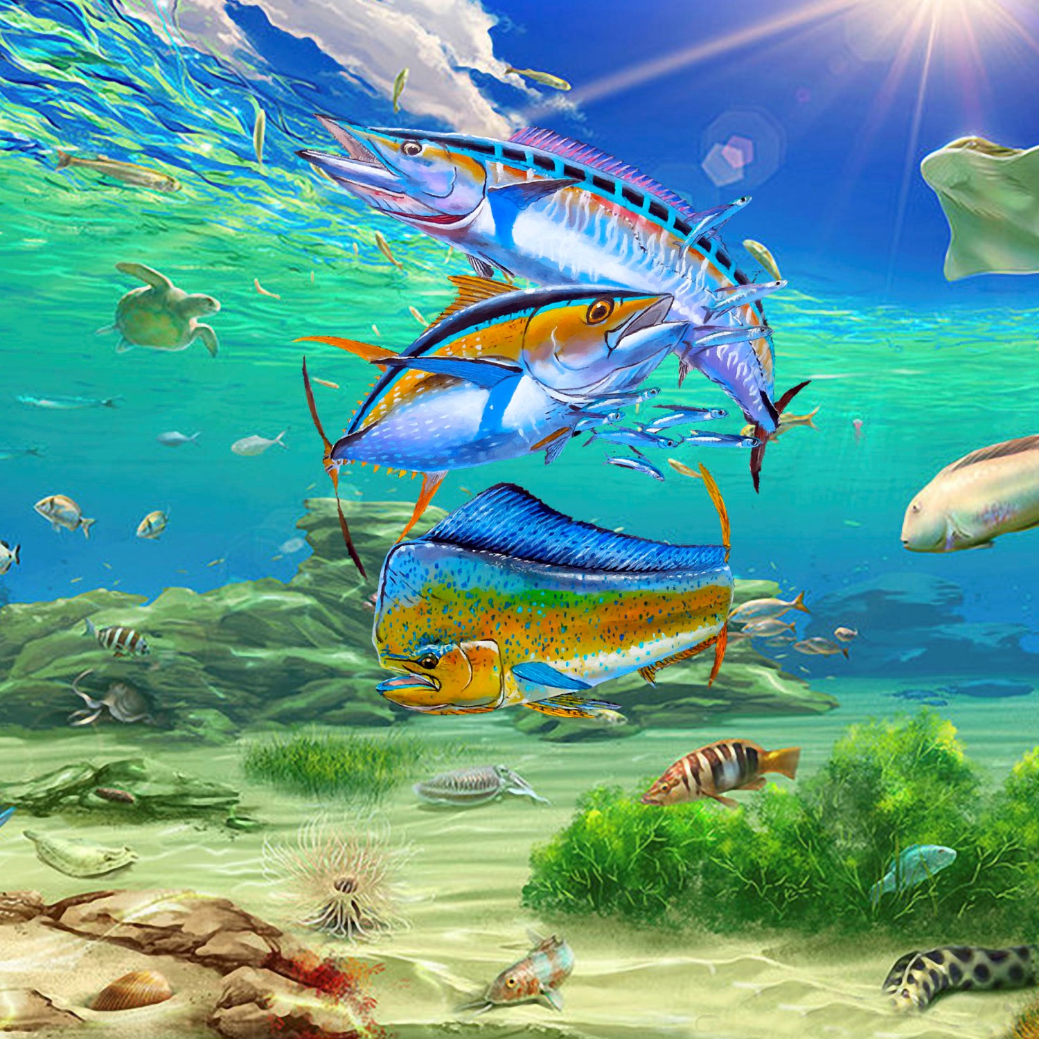 Wahoo Tuna Mahi 24 11×16