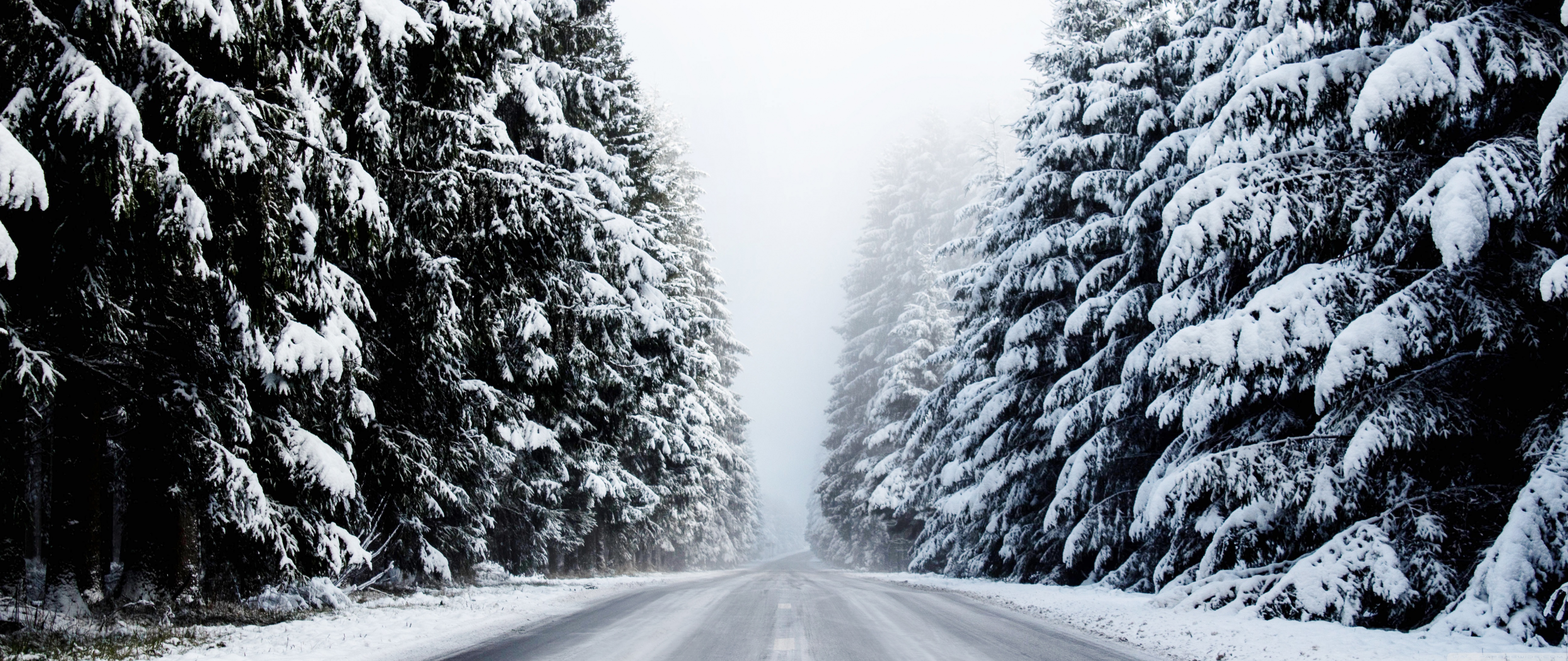 Winter Ultra HD Wallpaper for 4K UHD TV