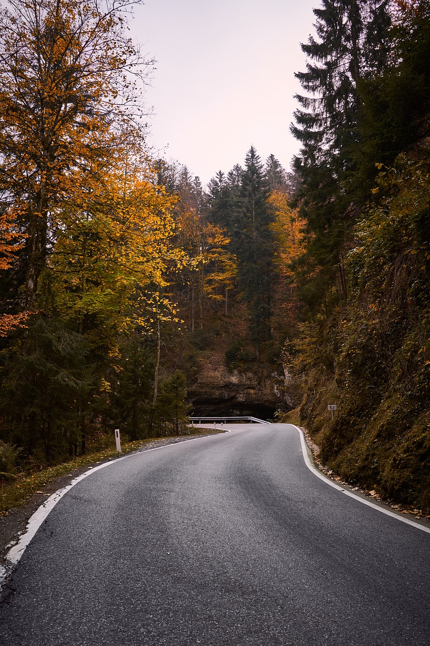Fall Leaves Road