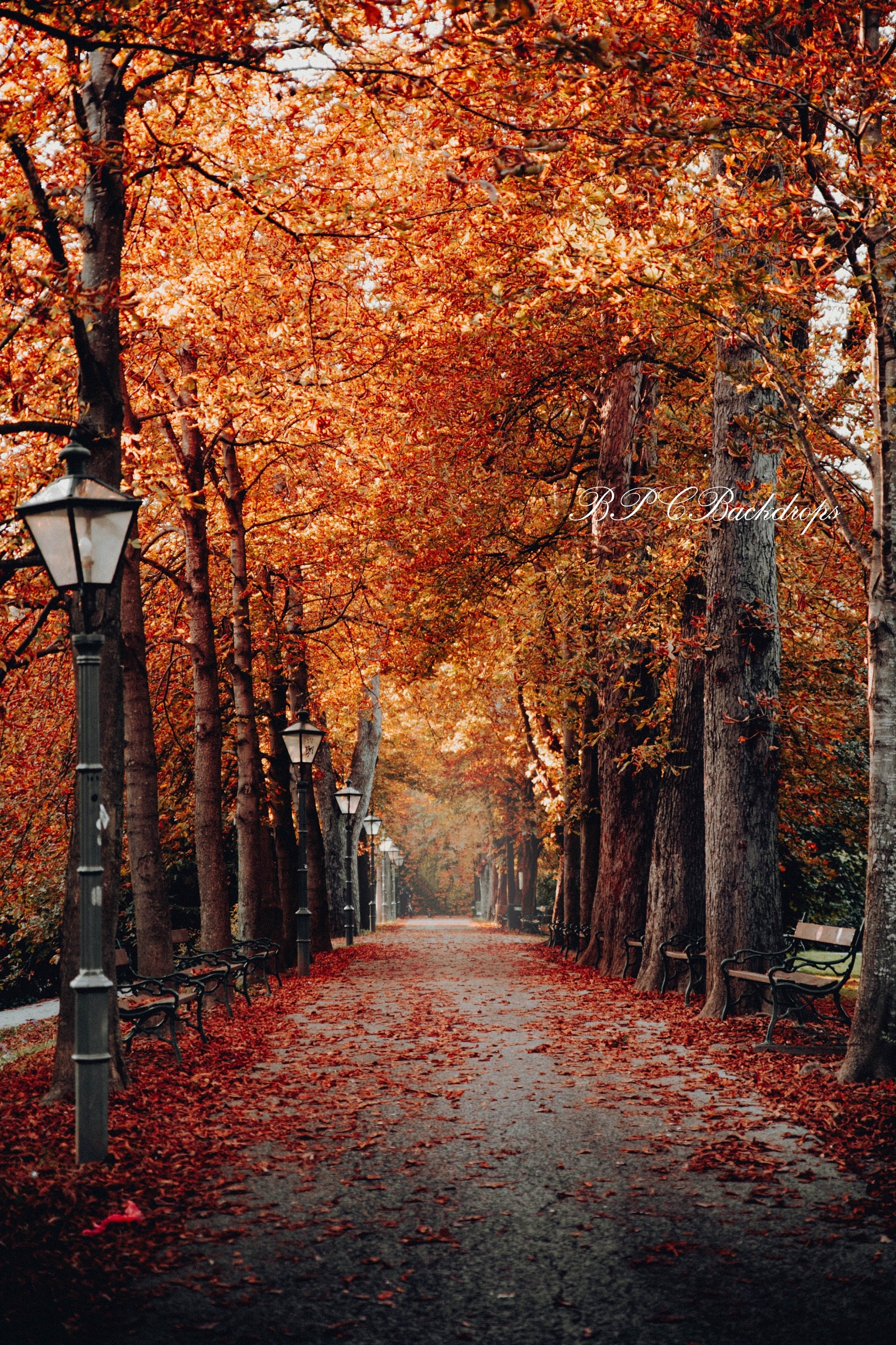 Autumn Fall Backdrop Digital