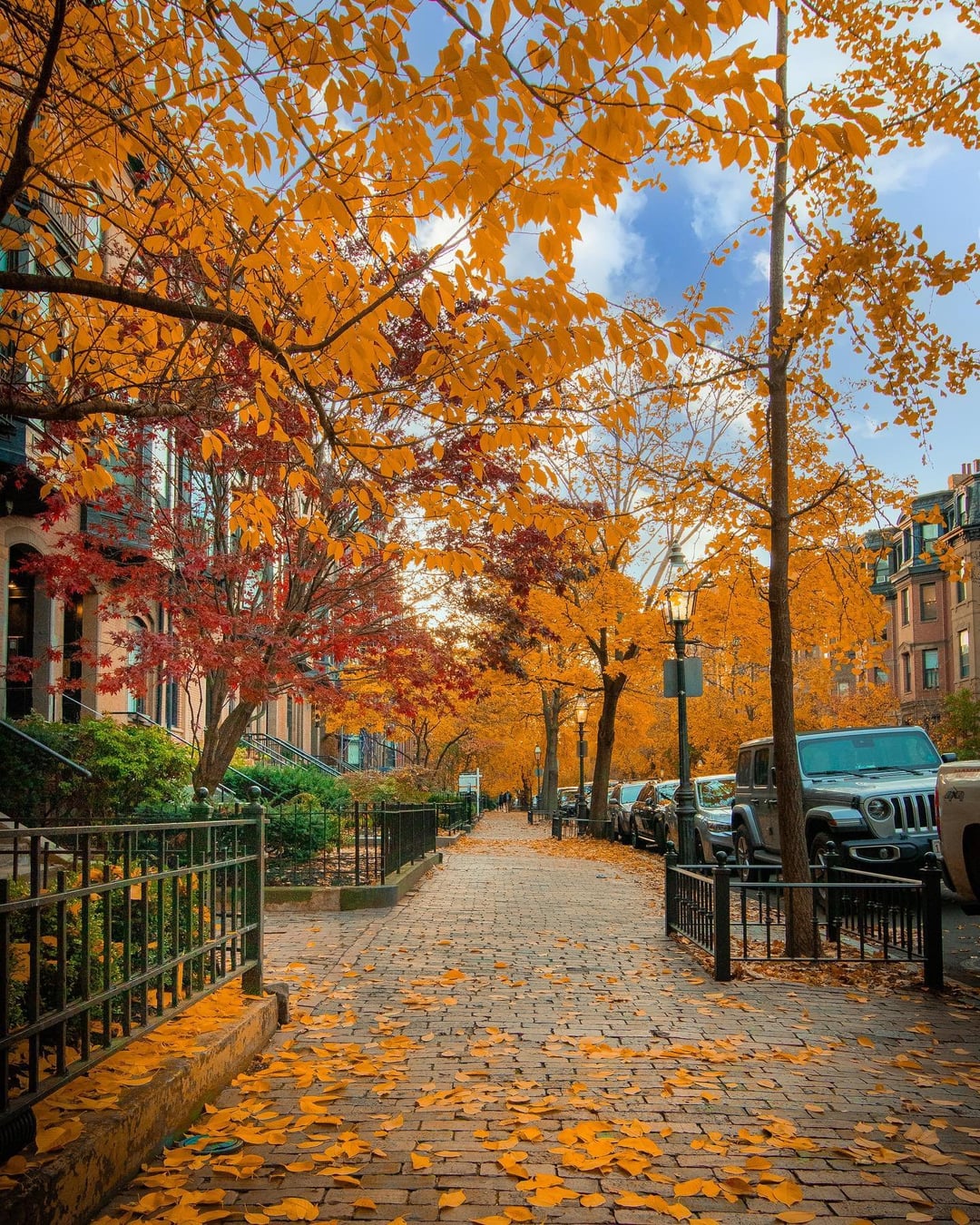 Fallen autumn leaves on a street in