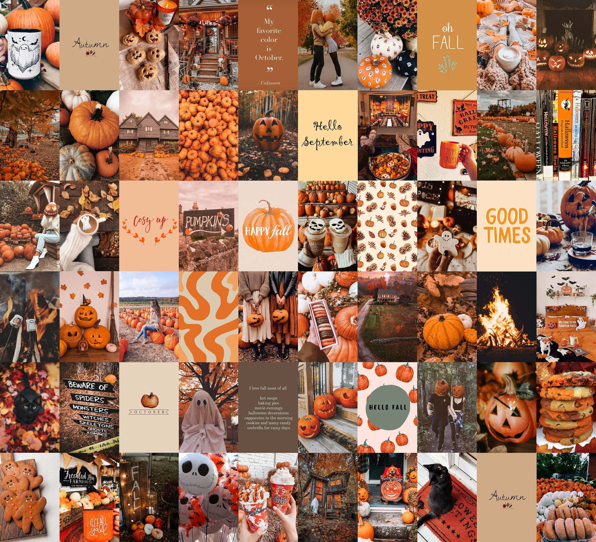 Download Autumn Halloween Collage Wallpaper