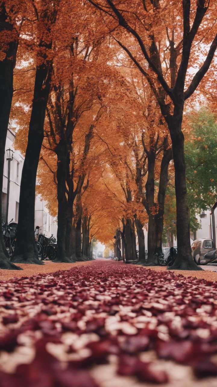 A street in autumn with burgundy leaves