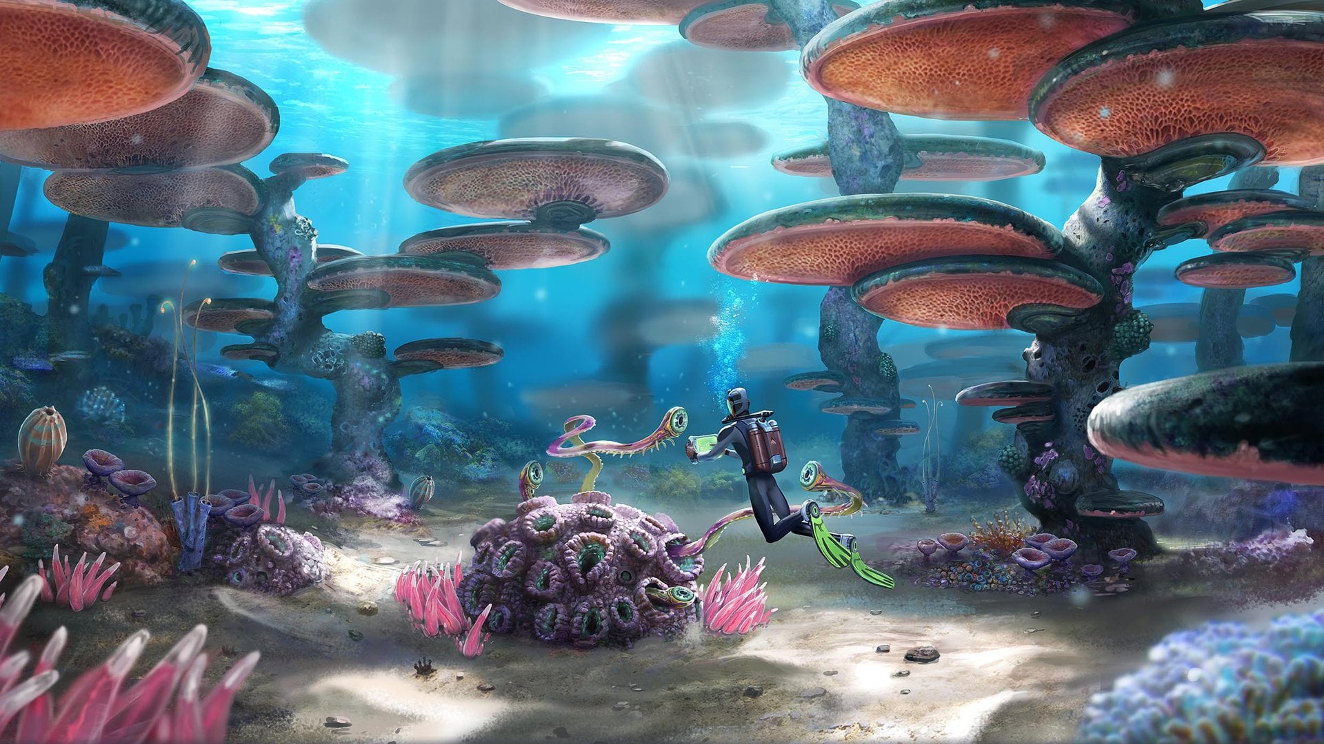 ingame picture frame use