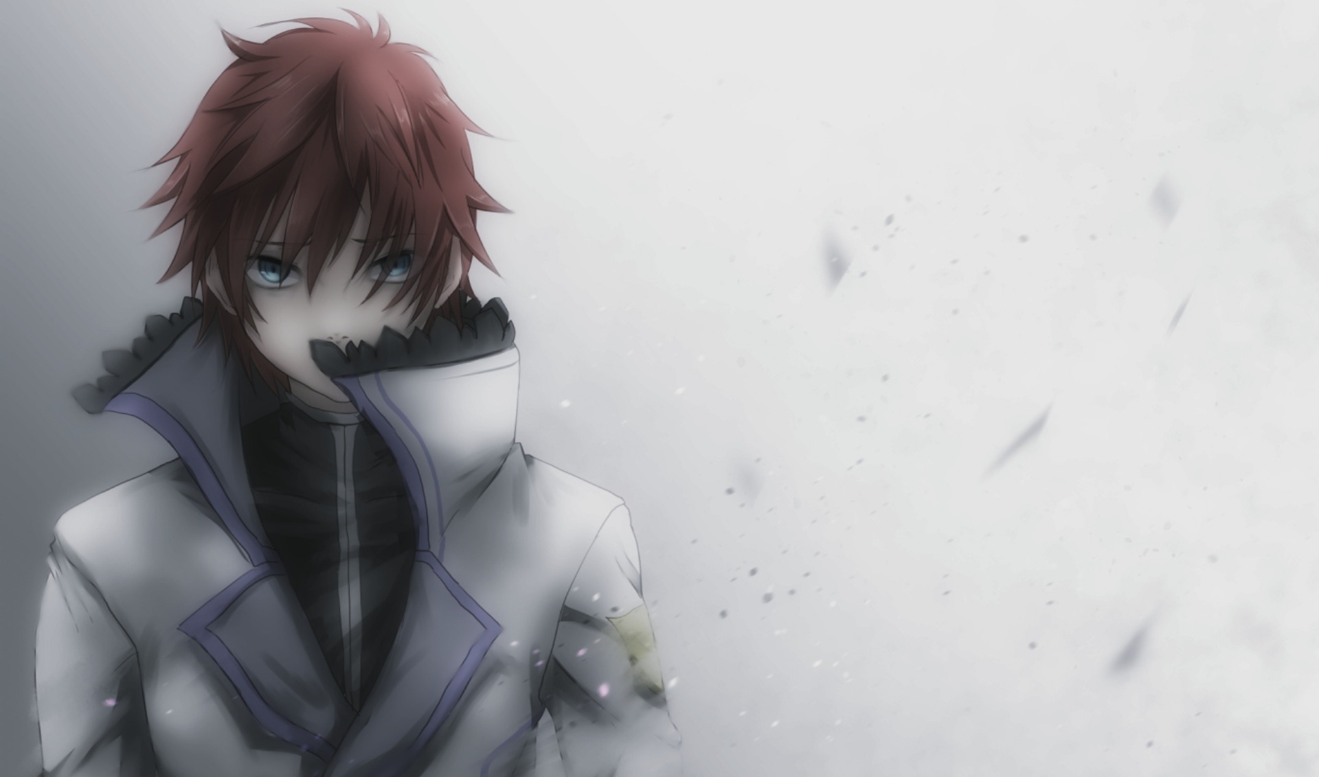 Download Reinhard Van Astrea Anime Re