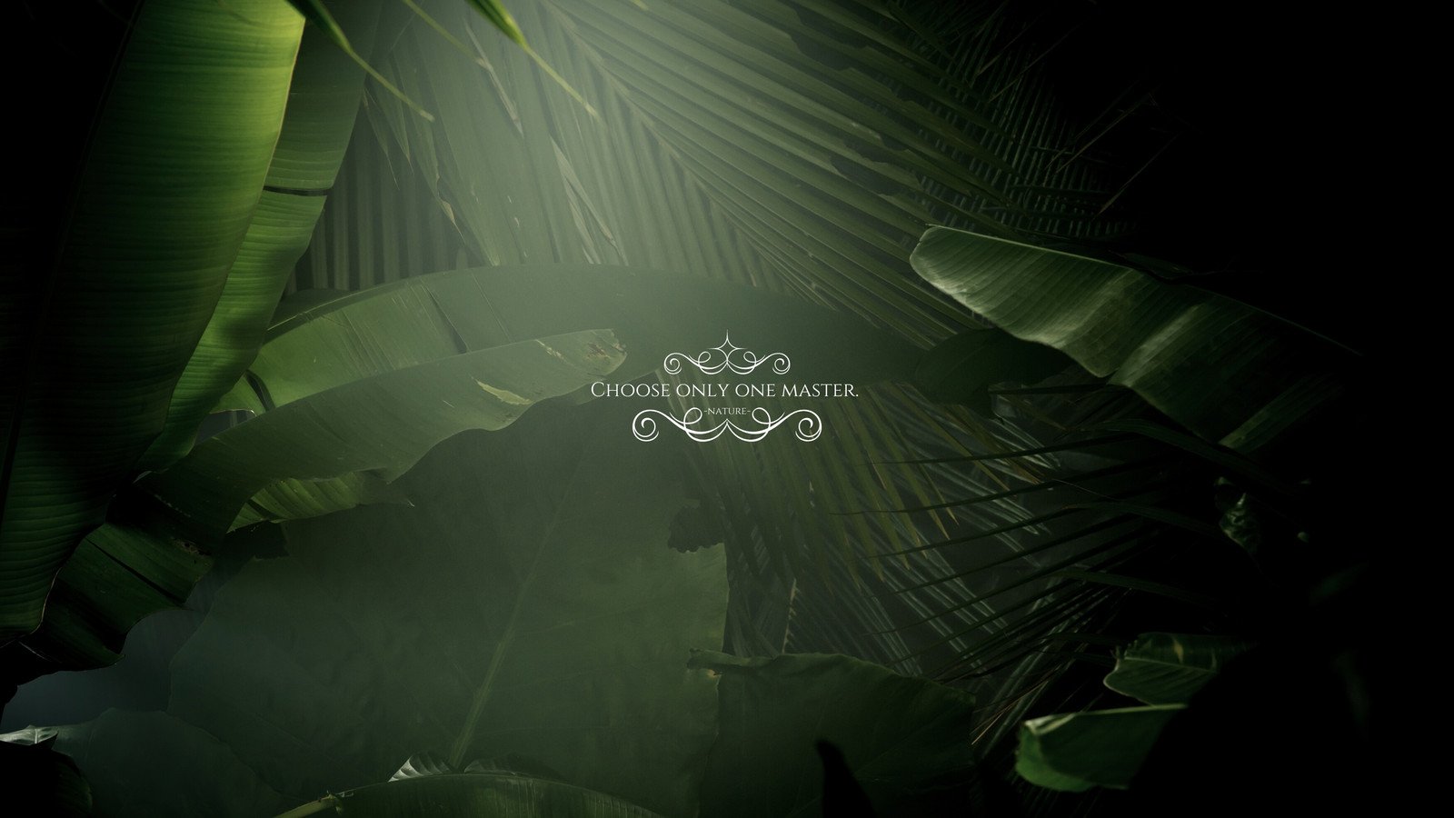 nature desktop wallpaper