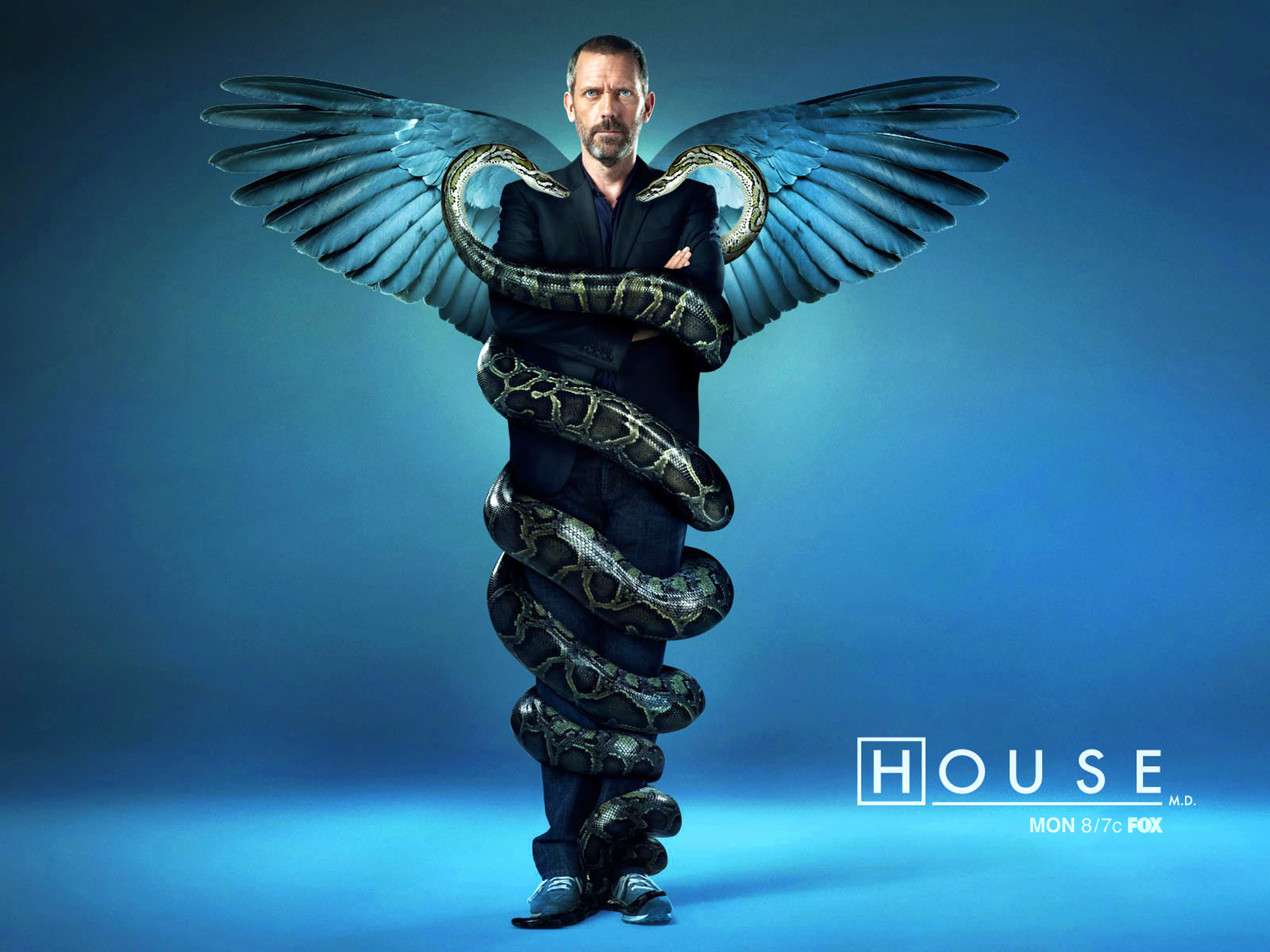 Desktop wallpaper: House M D, Cinema, People, Actors, Hugh Laurie 4K free download for PC. 17546