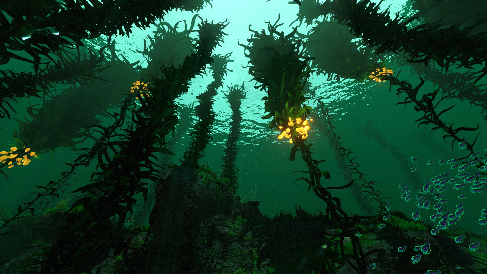 current desktop background