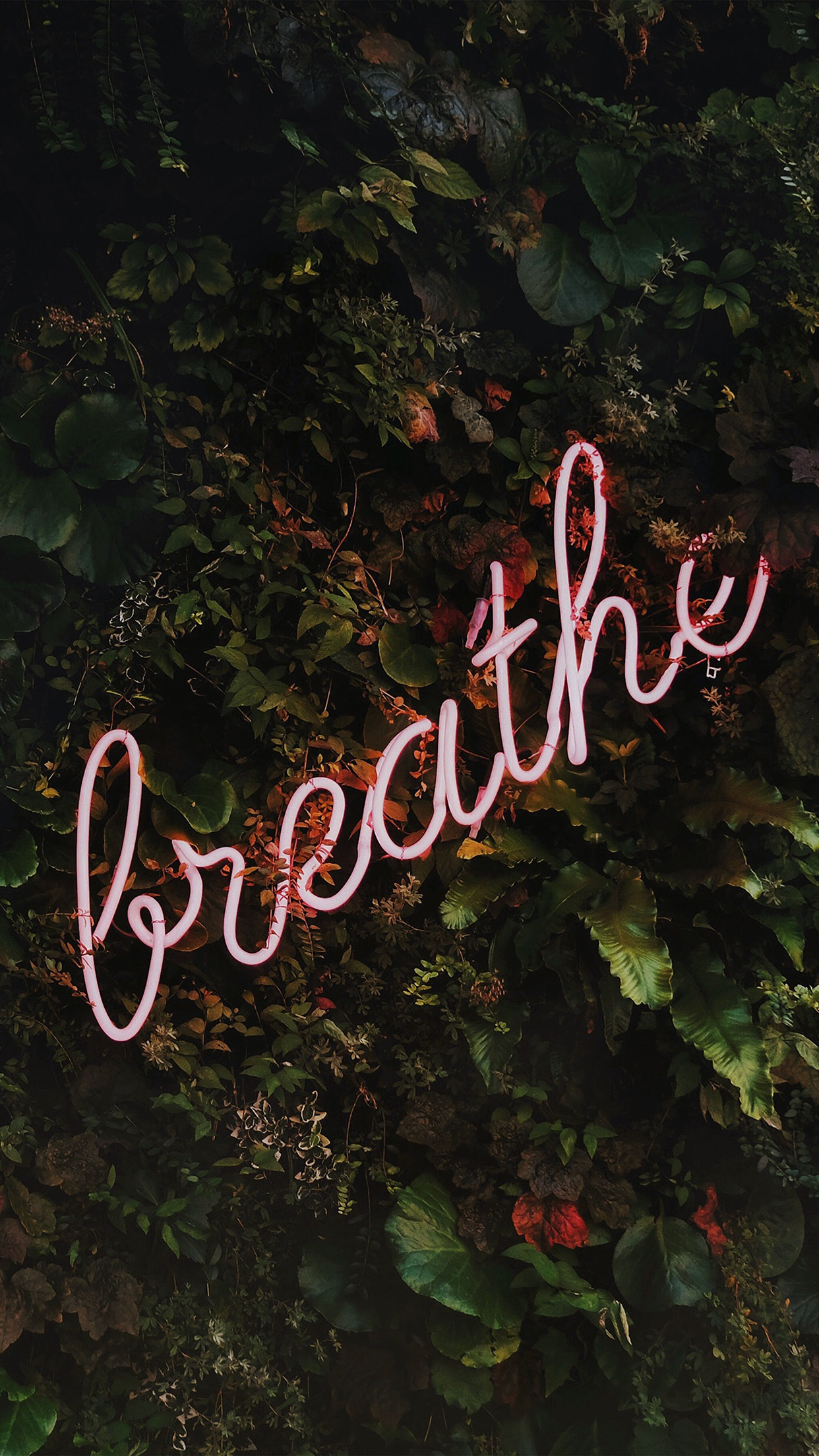 Breathe Mountain Tree Nature Neon