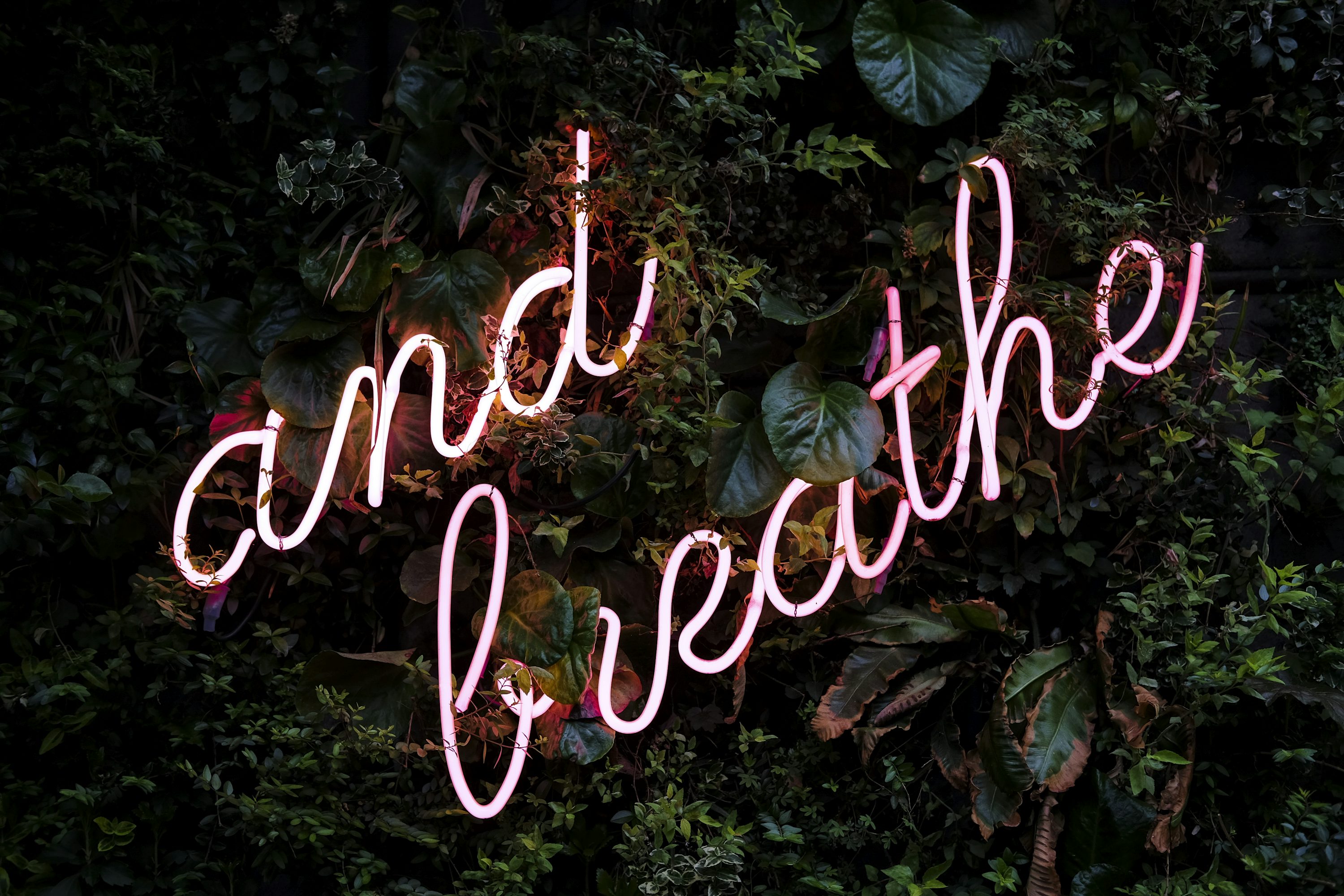 Breathe Picture [HD]. Download