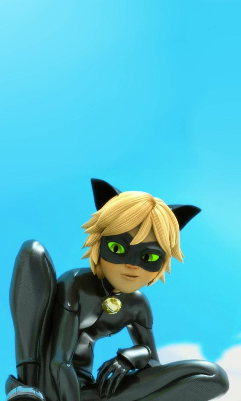 Download Cat Noir And The Sky Wallpaper