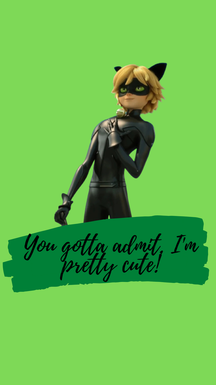 I made Cat noir wallpaper because yes