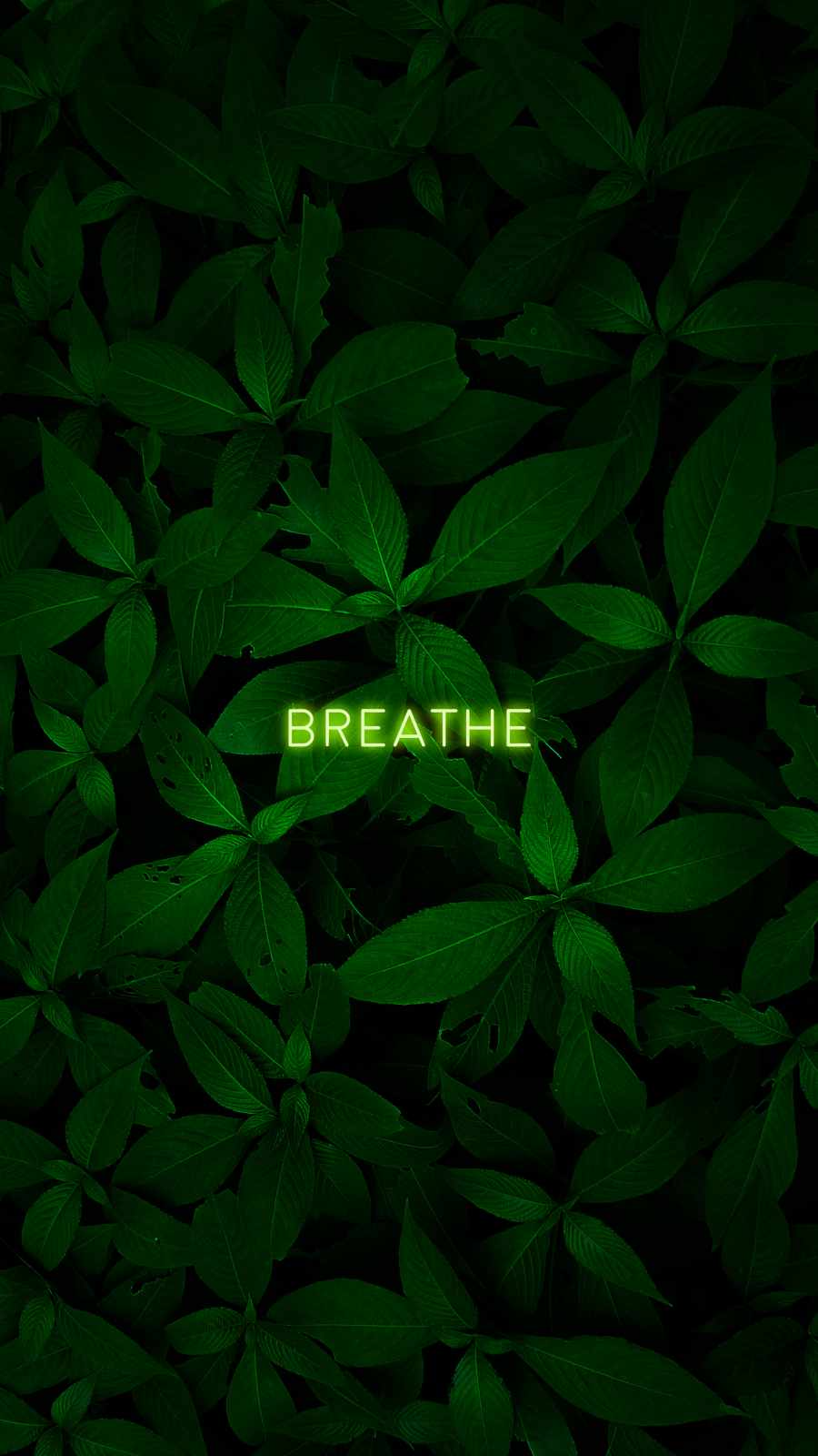 Breathe iPhone Wallpaper