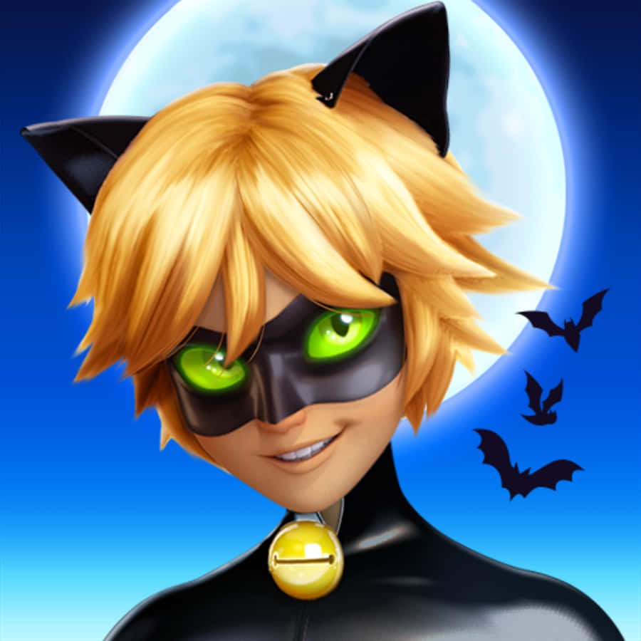 Cat Noir Picture