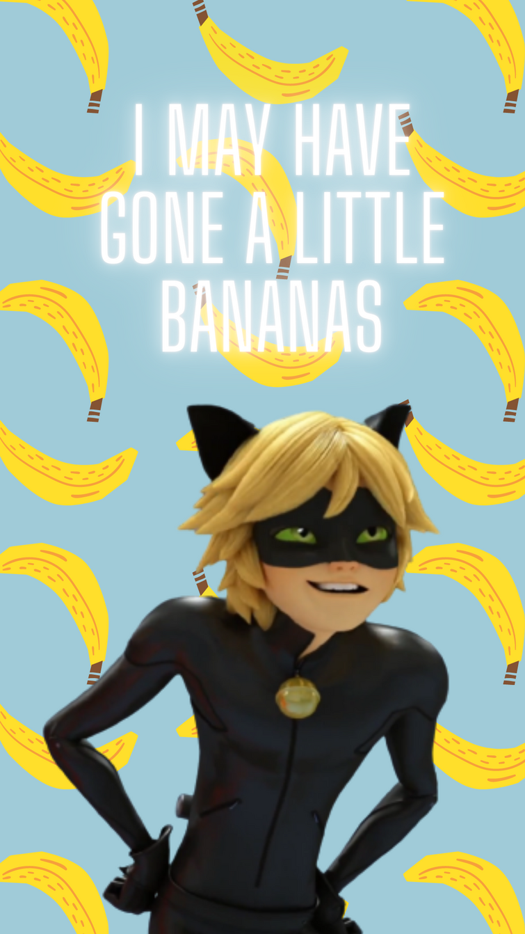 I made Cat noir wallpaper because yes