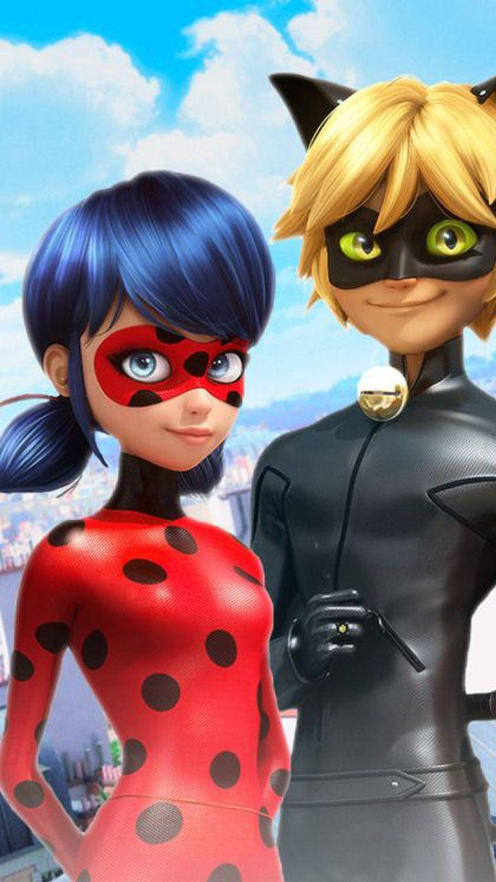 Download 3D Ladybug And Cat Noir