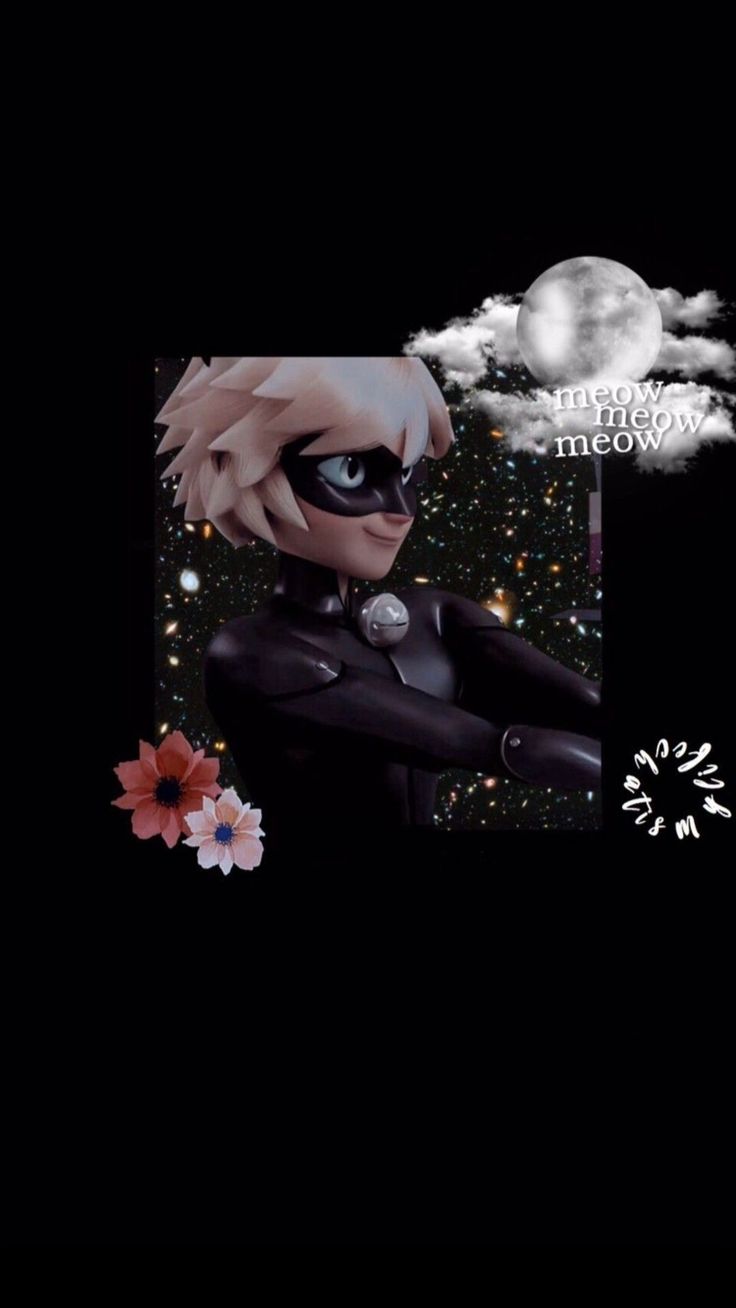 Cat Noir Wallpaper