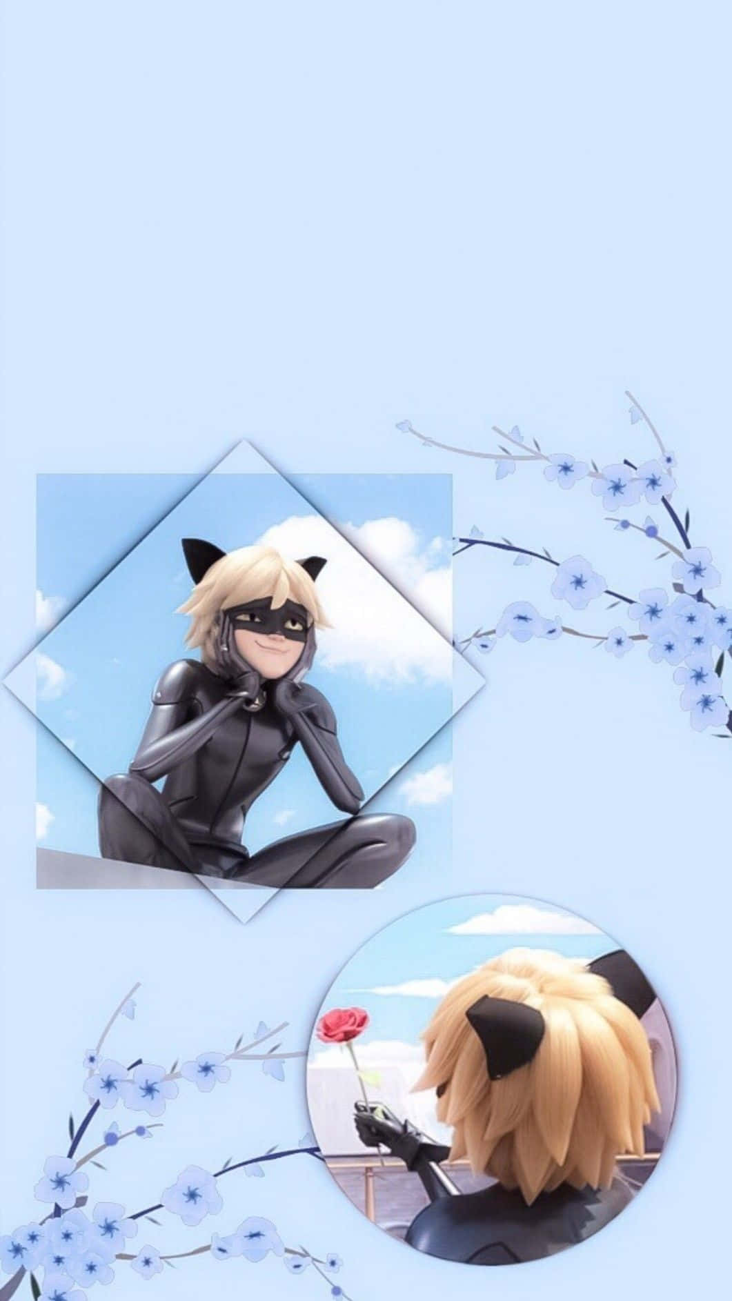 Cute Cat Noir Wallpaper