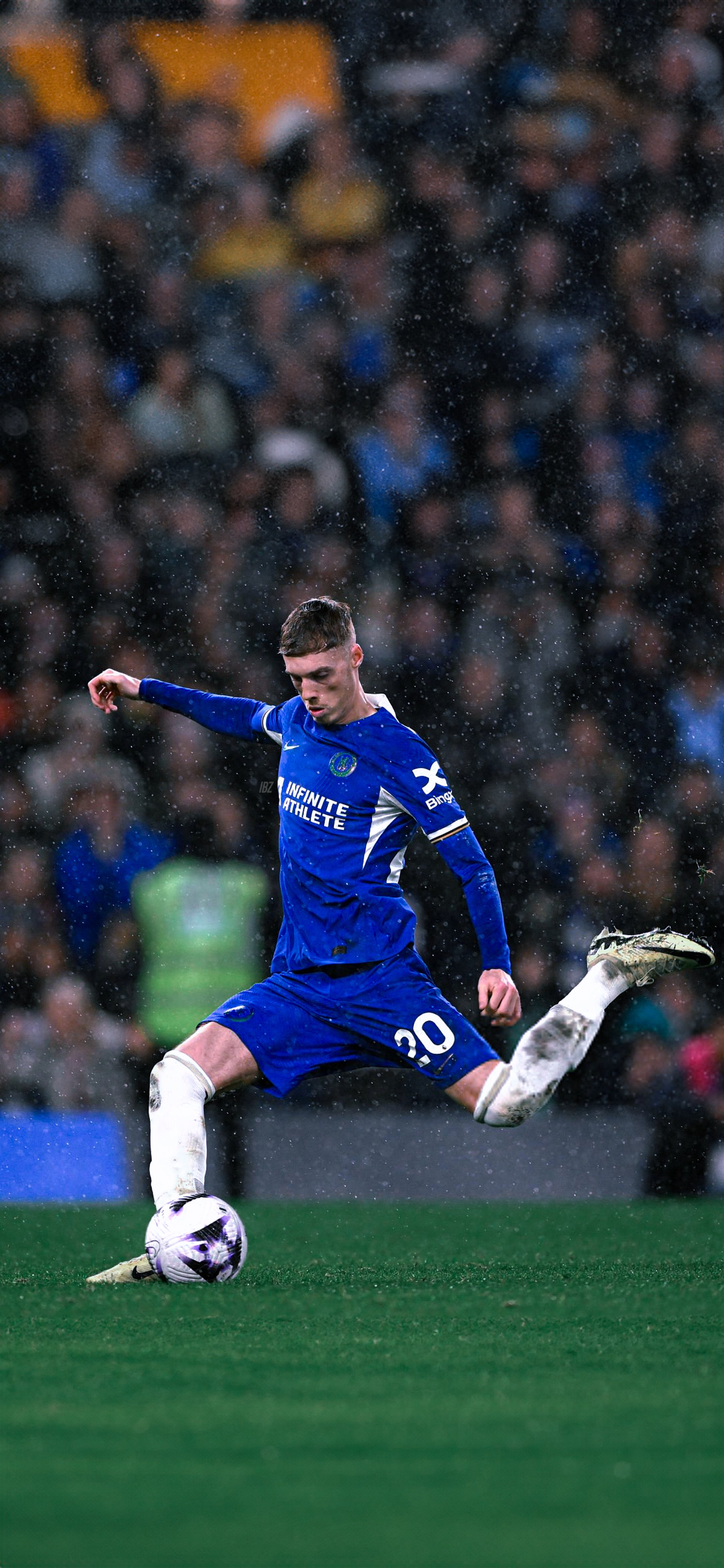 بزبلو. #Wallpaper