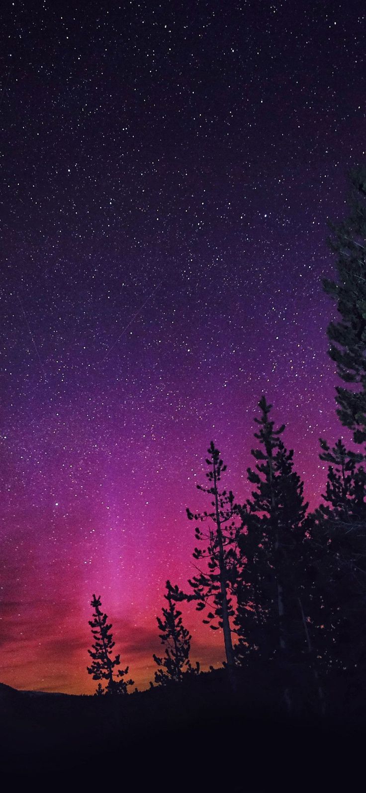 Purple Northern Lights Wallpaper